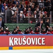 PRAGUE, CZECH REPUBLIC - MAY 14: Canadian players and coaches look on from the bench during quarterfinal round action against Belarus at the 2015 IIHF Ice Hockey World Championship. (Photo by Andre Ringuette/HHOF-IIHF Images)

